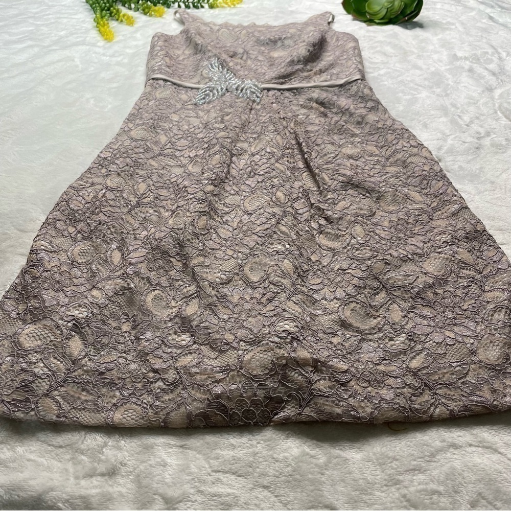 Zac Posen Truly Guipure Lace Sleeveless Special Occasion Dress in Gray Silver 2 - Picture 10 of 16